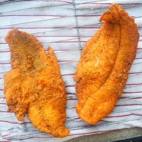 Catfish